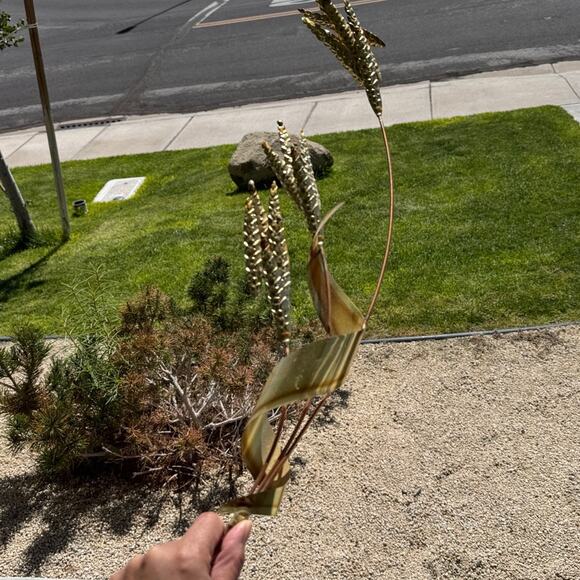 vintage home interior Mid-Century Modern metal wheat stalk wall art brass copper - Picture 11 of 13